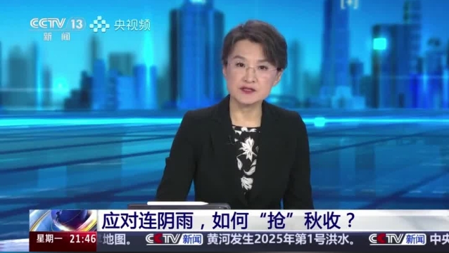 【主流媒體看周口】面對連陰雨 如何“搶”秋收？